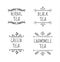 Tea Logo VECTOR Drawings Collection, Black Lines Isolated on White Background, Tea Labels.