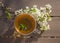 Tea with mint leaves in a transparent cup and branches of cherry blossoms