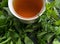 Tea with mint, thyme and sage, healthy herbal drink