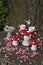 Tea party in forest with fairies on red mushrooms