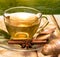 Tea On Patio Shows Herbals Organics And Patios