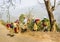 Tea pickers of darjeeling