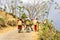 Tea pickers of darjeeling