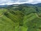 Tea plantation aerial photo showing rows of camellia sinensis covering mountains in Cameron Highlands