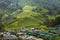 Tea Plantation, Cameron Highland Malaysia