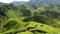 Tea plantation Cameron highlands.