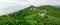 Tea plantation in the evening sun. Rize city in Turkey