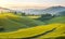 Tea plantation fields, cascade valley landscape with mount, scenery of meadows with mountains backdrop, terraced agriculture.