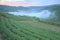 Tea plantation fields at dawn with morning fog in the distant valley, in Pingling, Taipei, Taiwan