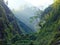 Tea plantation in Fujian Province, China