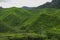 Tea plantation landscape in Cameron highlands, Malaysia. Green Tea garden mountain range. Tea plantation terrace and texture