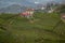Tea Plantation Landscape Garden Rize Turkey House Drone view