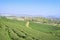 Tea plantation at Mae Chan, Chiang Rai, Thailand.View of tea plantation landscape at Choui Fong Tea Chiang Rai