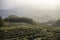 Tea plantation in Moganshan, China