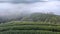 Tea plantation in morning view, Chiangmai, Thailand