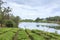 Tea plantation in the mountains od mauritius island