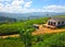 Tea plantation, mountains and school Nanuoya