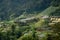 Tea plantation rice terraced field on. Landscape view along the mountain that crosses the agriculture farm and rural village