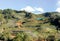 Tea plantation and small hut in Thailand