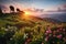 tea plantation sunset with the sun setting behind rows of colorful blooming flowers