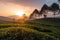 tea plantation sunset, with view of the mountains in the distance