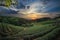 Tea plantation valley at dramatic pink sunset sky in Taiwan