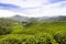 Tea Plantations Cameron highlands Malaysia