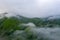 Tea Plantations at Cameron Highlands Malaysia. Sunrise in early morning with fog.