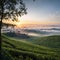 Tea Plantations at Cameron Highlands Malaysia. Sunrise in early morning with fog. made with Generative AI