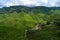 Tea plantations Cameron Valley. Green hills in the highlands of Malaysia. Tea production. Green bushes of young tea