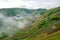 Tea plantations in Fog, cloud