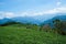 The tea plantations on the hilltop are often shrouded in clouds and fog.