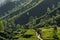 Tea plantations landscape with indian auto rickshaw driving through in Munnar, India