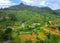 Tea plantations, mountains and buildings Nanuoya