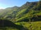 Tea plantations, mountains and forest Nanuoya