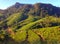 Tea plantations, mountains and forest Nanuoya