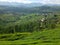 Tea plantations, mountains, trees and village Nanuoya