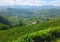 Tea plantations, mountains, trees and village Nanuoya