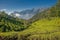 Tea plantations in Munnar, Kerala, India