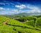 Tea plantations, Munnar, Kerala state, India