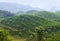 Tea plantations in Munnar, Western Ghats range of mountains, Kerala state, South India