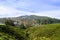Tea plantations, Nuwara Eliya