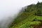 Tea Plantations over Green Mountains with White Clouds - Natural Background