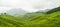 Tea plantations panorama munnar india