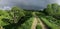 Tea plantations Sao Miguel Azores Panorama