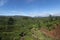 Tea plantations seen at Munnar Hill station,Kerala,India