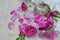Tea-rose petals in metal sugar bowl: for tea, alternative medicine, pot-pourri. Copy space for text.