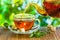 Tea time. Pouring out hot tea into a cup. Green nature background