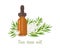 Tea tree essential oil. Amber glass dropper bottle and Melaleuca alternifolia leaf and white flowers