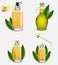 Tea tree oil bottle set, vector realistic illustration